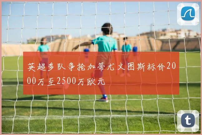 英超多队争抢加蒂尤文图斯标价2000万至2500万欧元