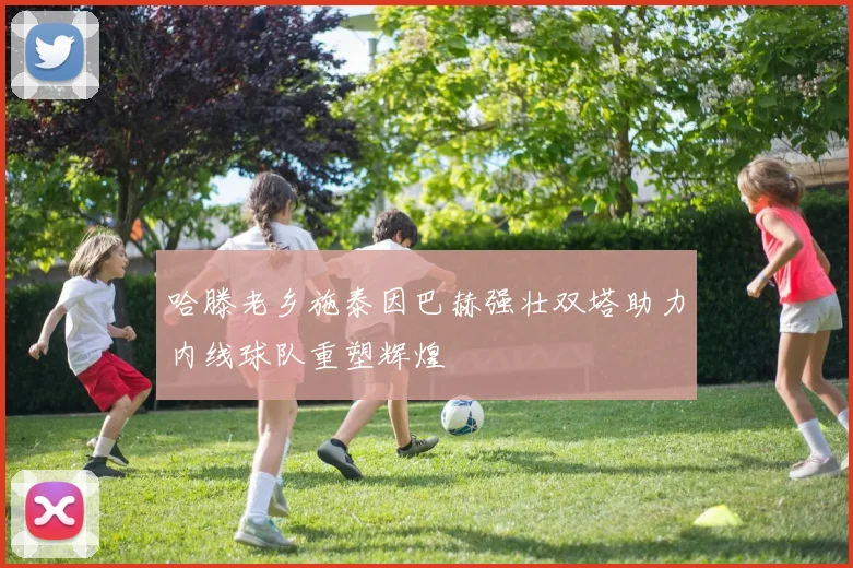 哈滕老乡施泰因巴赫强壮双塔助力内线球队重塑辉煌